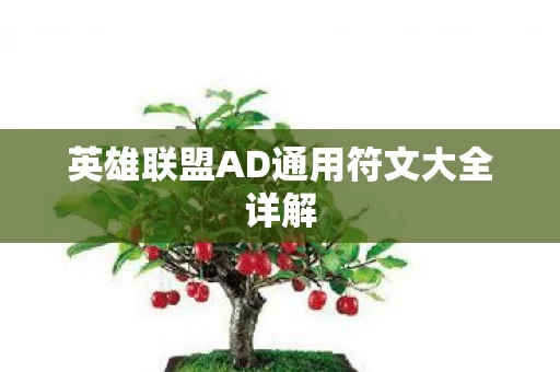 英雄联盟AD通用符文大全详解图片