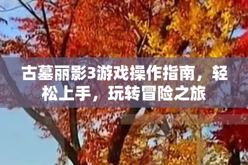古墓丽影3游戏操作指南图片