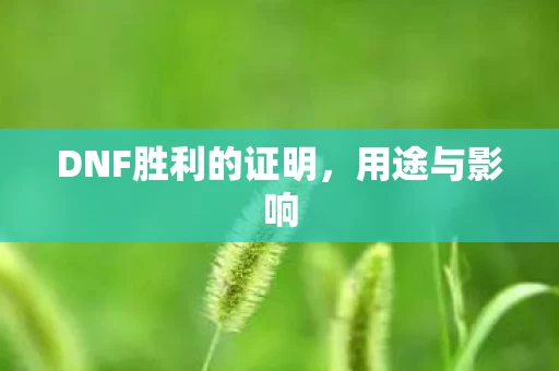 DNF胜利的证明图片