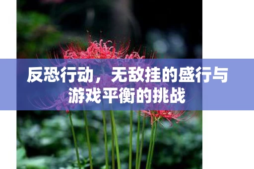 无敌挂的盛行与游戏平衡的挑战图片