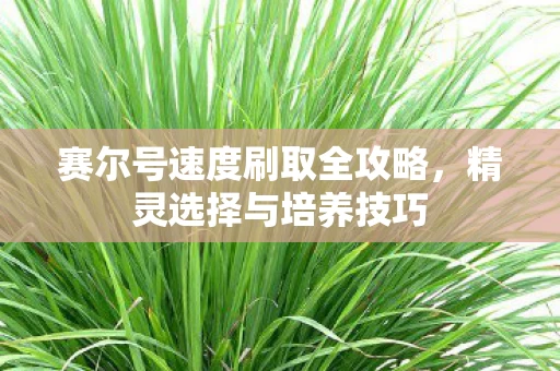 赛尔号速度刷取全攻略图片