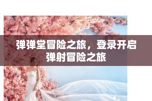 登录开启弹射冒险之旅图片
