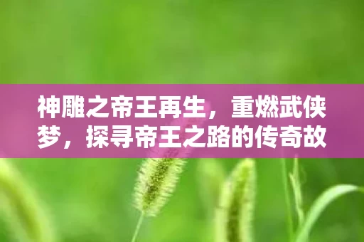 探寻帝王之路的传奇故事图片