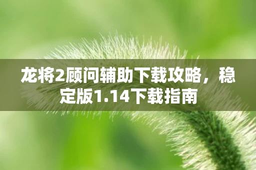龙将2顾问辅助下载攻略图片