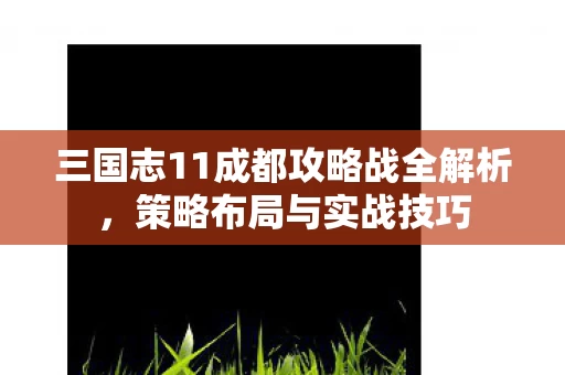 三国志11成都攻略战全解析图片