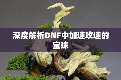 深度解析DNF中加速攻速的宝珠图片