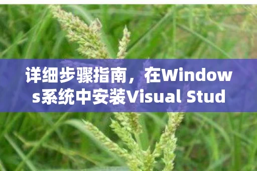 在Windows系统中安装Visual Studio 2005图片