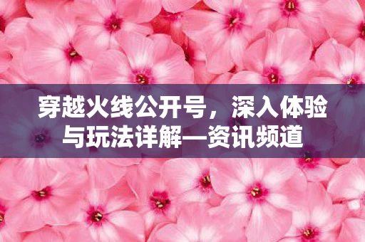 深入体验与玩法详解图片