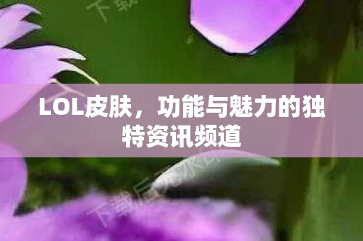 功能与魅力的独特资讯频道图片