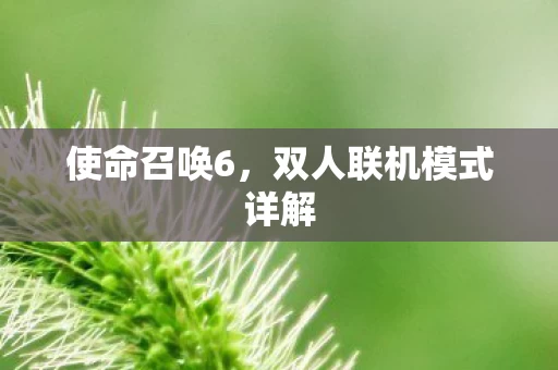 双人联机模式详解图片