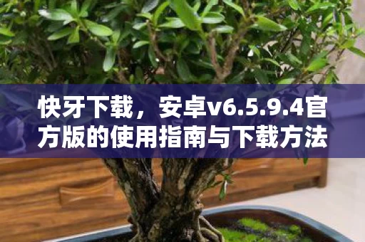 4官方版的使用指南与下载方法图片
