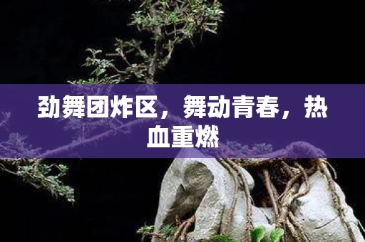 劲舞团炸区图片