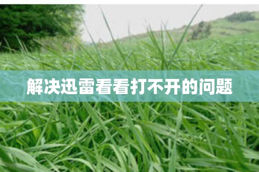 解决迅雷看看打不开的问题图片