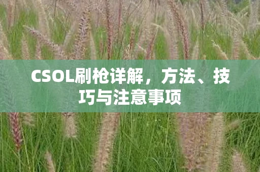 CSOL刷枪详解图片