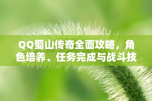 QQ蜀山传奇全面攻略图片