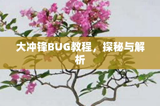 大冲锋BUG教程图片