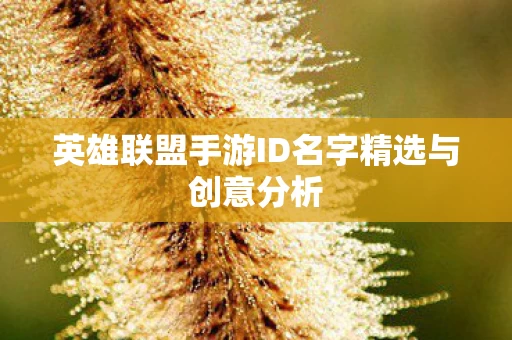 英雄联盟手游ID名字精选与创意分析图片