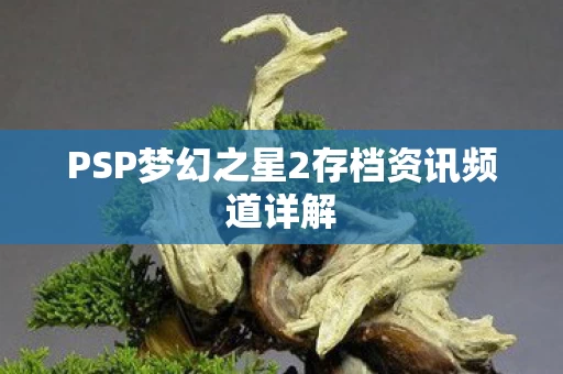 PSP梦幻之星2存档资讯频道详解图片