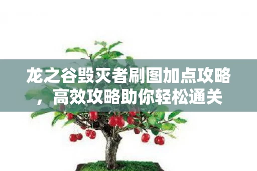 龙之谷毁灭者刷图加点攻略图片