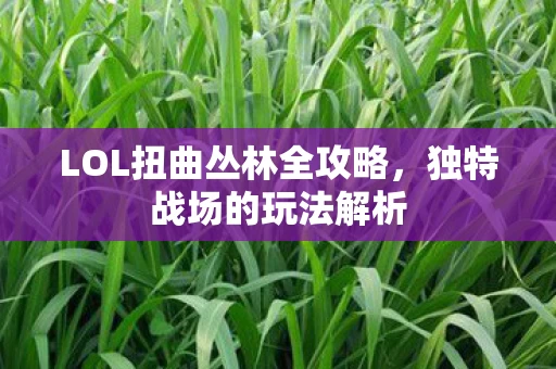LOL扭曲丛林全攻略图片