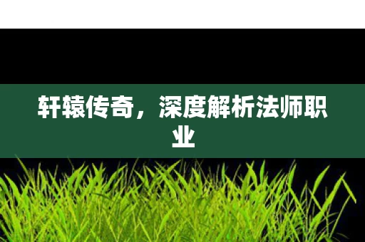 深度解析法师职业图片