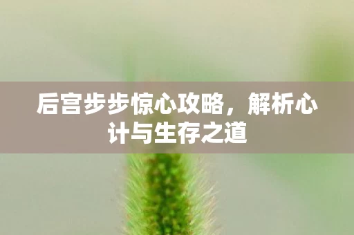 解析心计与生存之道图片