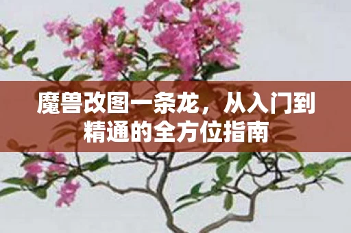 从入门到精通的全方位指南图片