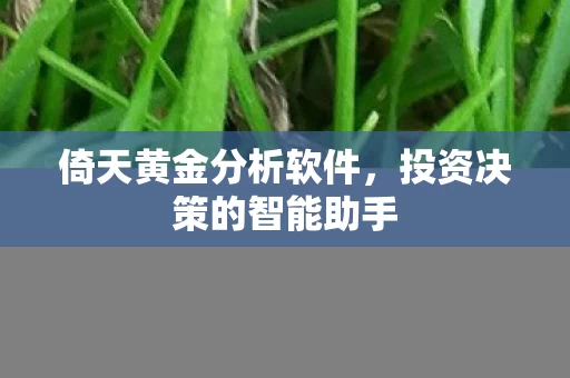 投资决策的智能助手图片