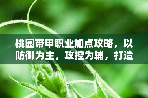 桃园带甲职业加点攻略图片