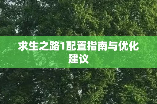 求生之路1配置指南与优化建议图片