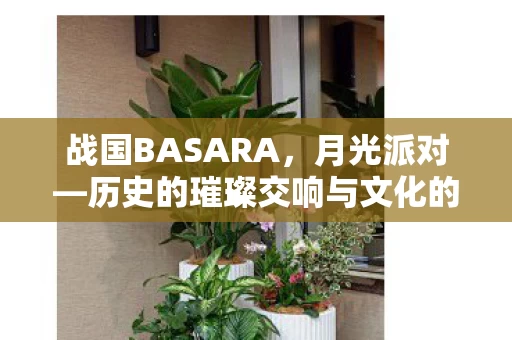 历史的璀璨交响与文化的狂欢之夜图片