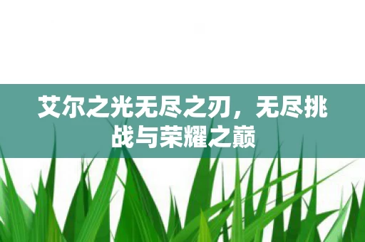 无尽挑战与荣耀之巅图片