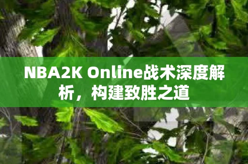 NBA2K Online战术深度解析图片