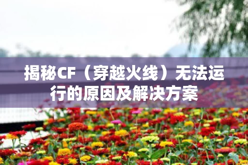 无法运行的原因及解决方案图片