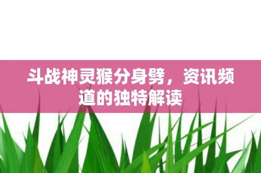 资讯频道的独特解读图片