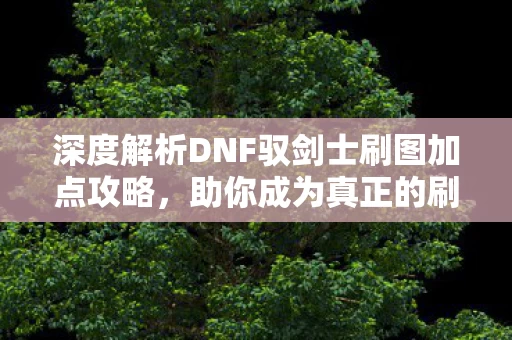 深度解析DNF驭剑士刷图加点攻略图片
