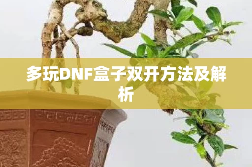 多玩DNF盒子双开方法及解析图片