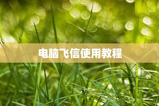 电脑飞信使用教程图片