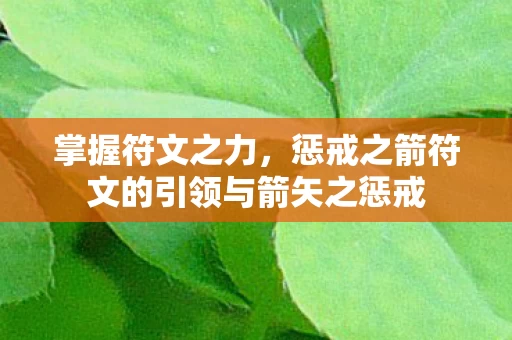 惩戒之箭符文的引领与箭矢之惩戒图片
