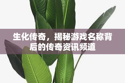 揭秘游戏名称背后的传奇资讯频道图片