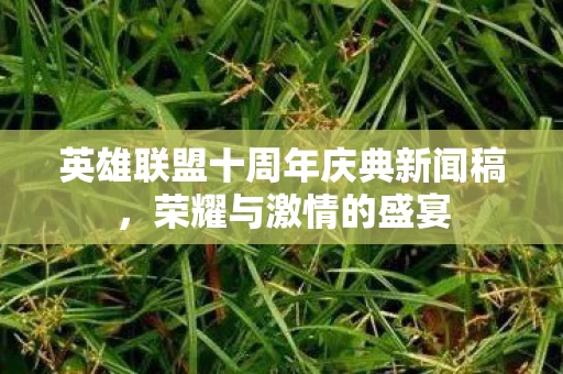 英雄联盟十周年庆典新闻稿图片