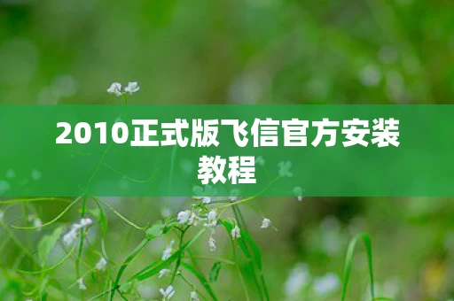 2010正式版飞信官方安装教程图片