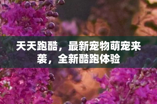 最新宠物萌宠来袭图片