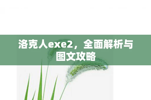 全面解析与图文攻略图片