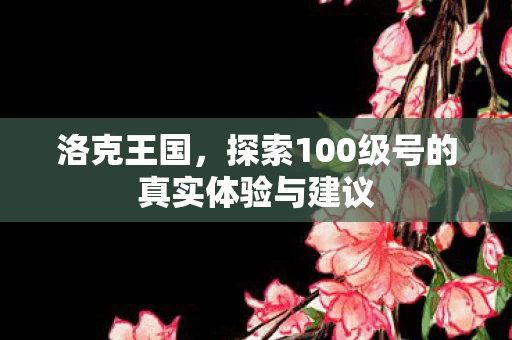 探索100级号的真实体验与建议图片