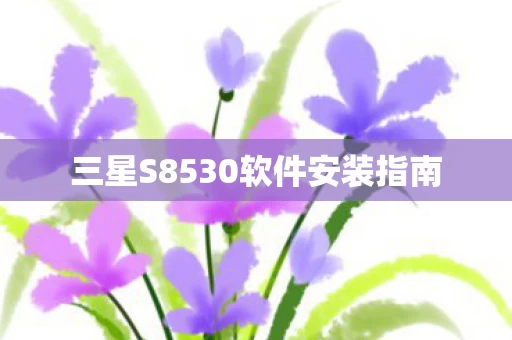 三星S8530软件安装指南图片