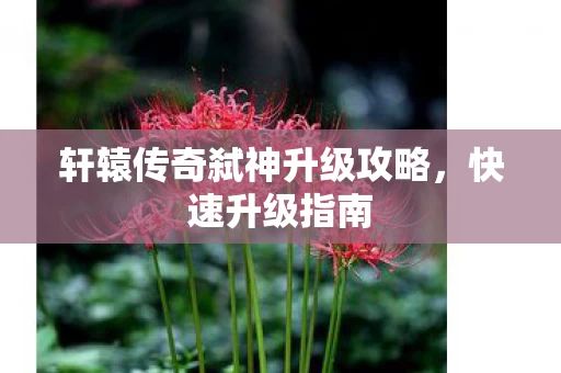 轩辕传奇弑神升级攻略图片