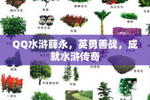 QQ水浒薛永图片
