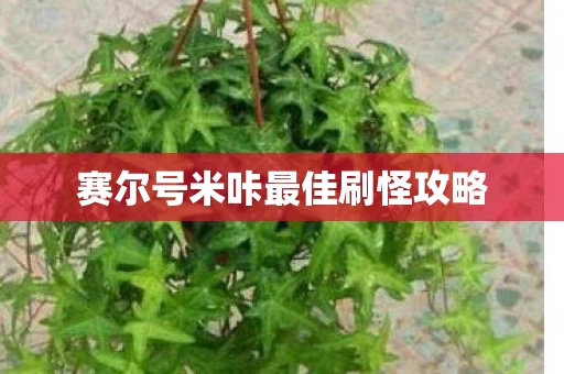 赛尔号米咔最佳刷怪攻略图片