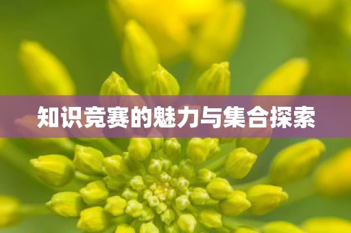 知识竞赛的魅力与集合探索图片